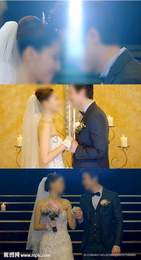 拯救机灵鸟